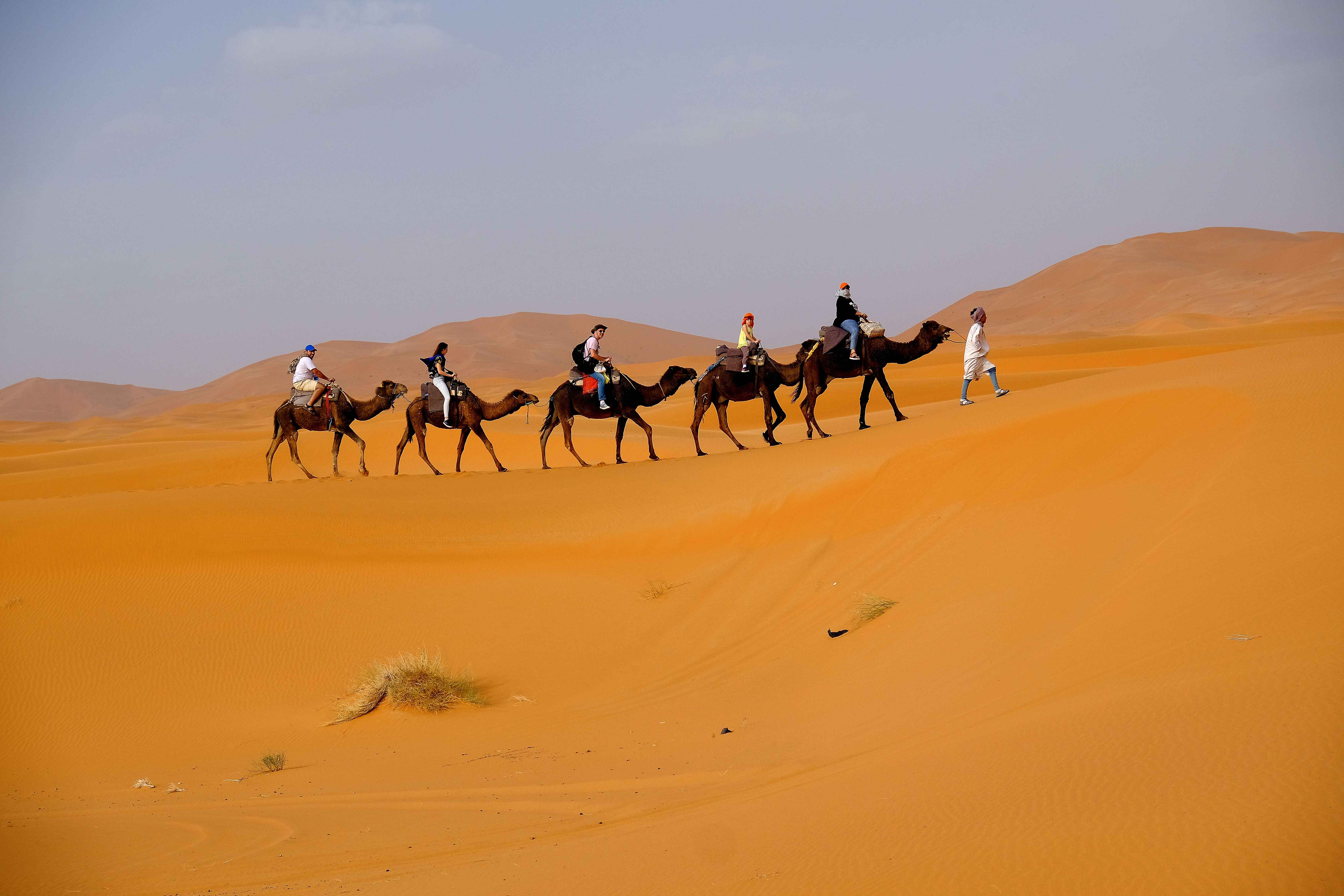 Quad Bike, Camel Safari And Dinner With Art Performances In Dubai