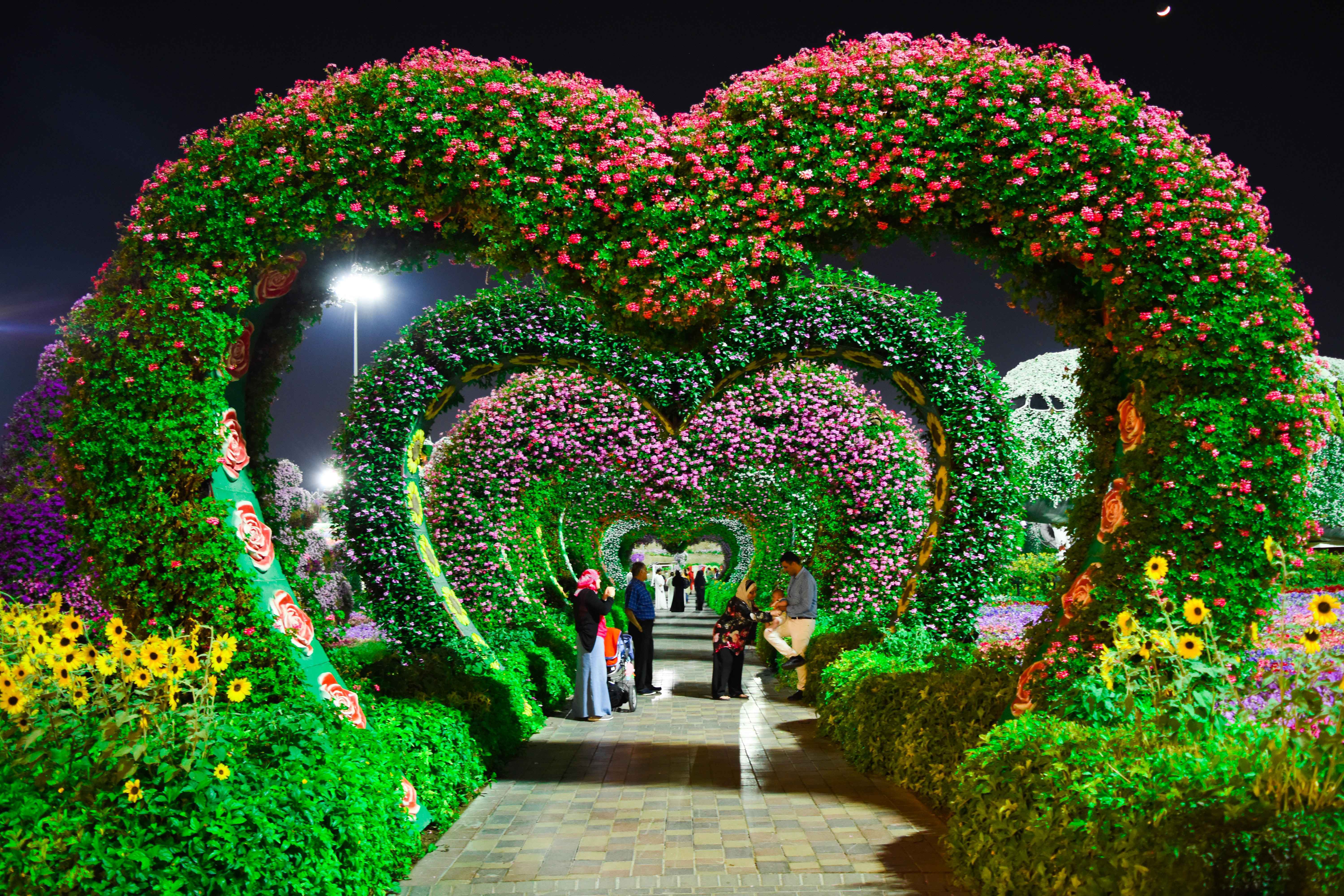 Experience The Diversity Of Flora And Fauna In Dubai- Miracle Garden Plus Butterfly Garden