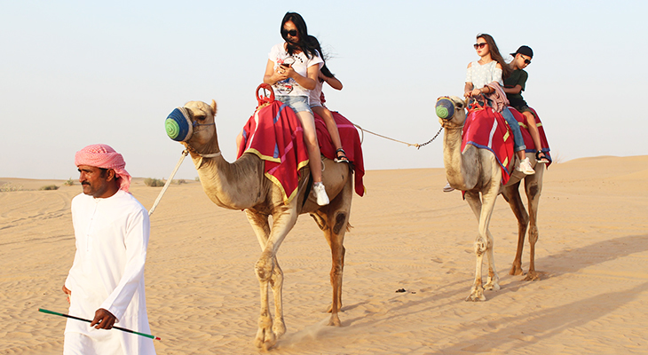 Morning Desert Safari- Dune Bashing- Camel Ride-Sand Boarding-Camping With Refreshment At Dubai