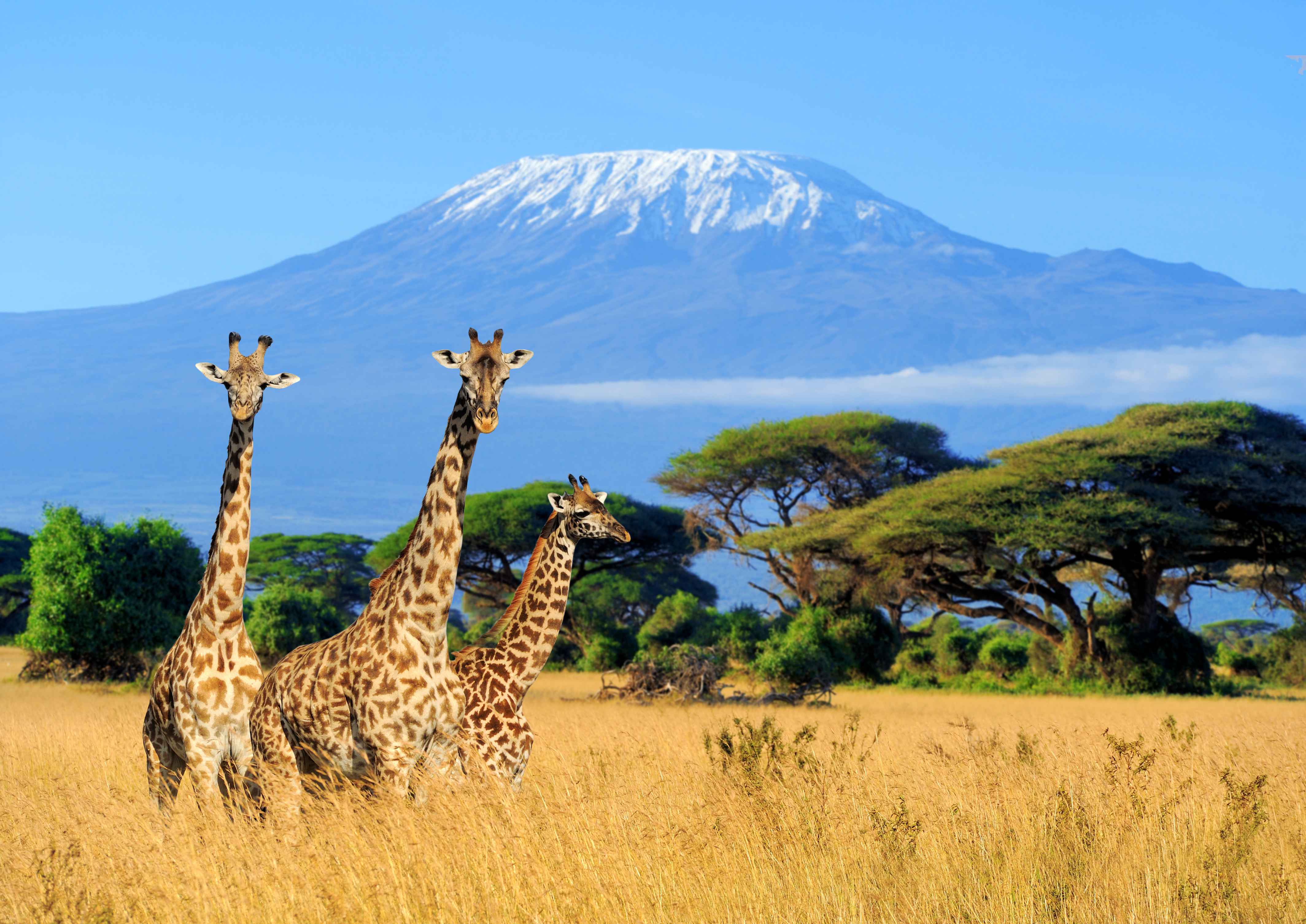 Kenya -Travel Fube