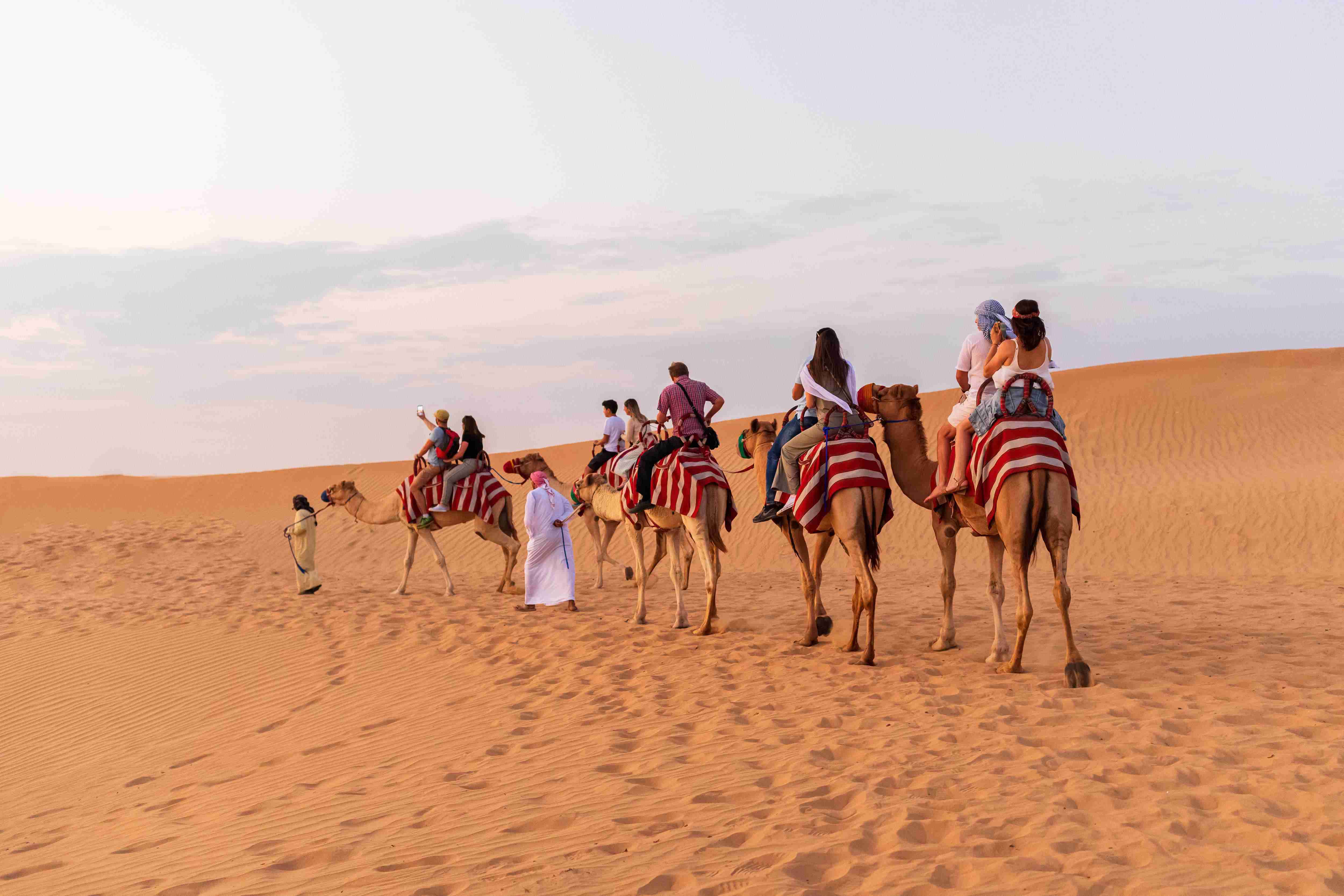 Adventure Combo Tour Package: Early Morning Camel Trekking Plus Evening Desert Safari