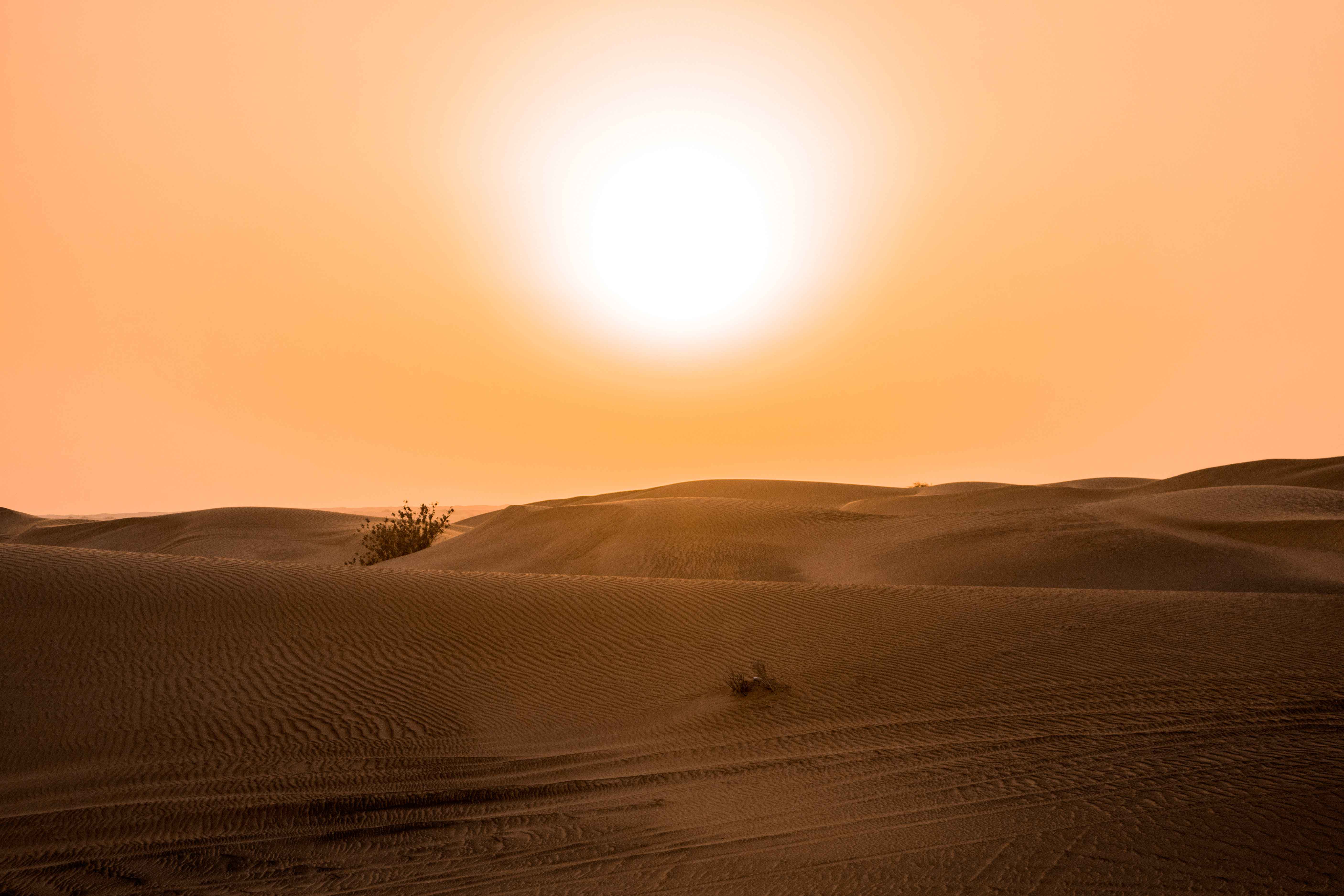 Sunset Camel Trekking & BBQ Dinner In The Desert Camp - Travel Fube