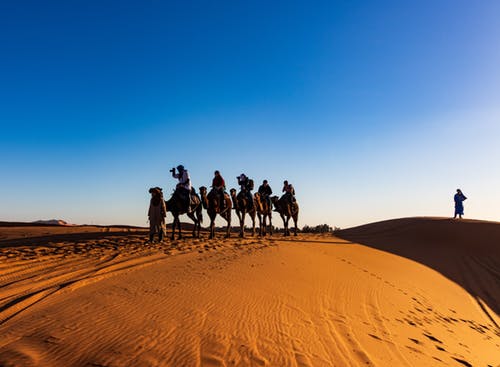 Quad Bike And Camel Ride In Morning Desert Safari 