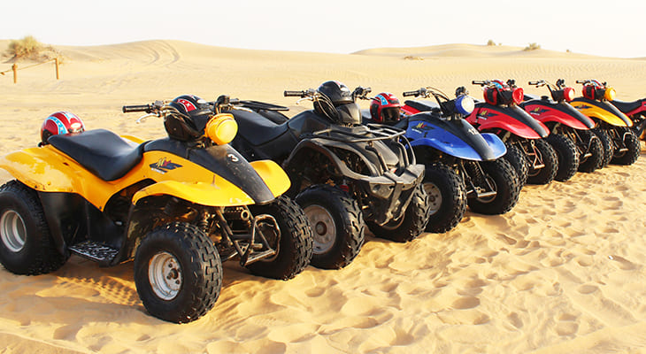 Quad Bike And Camel Ride In Morning Desert Safari  - Travel Fube