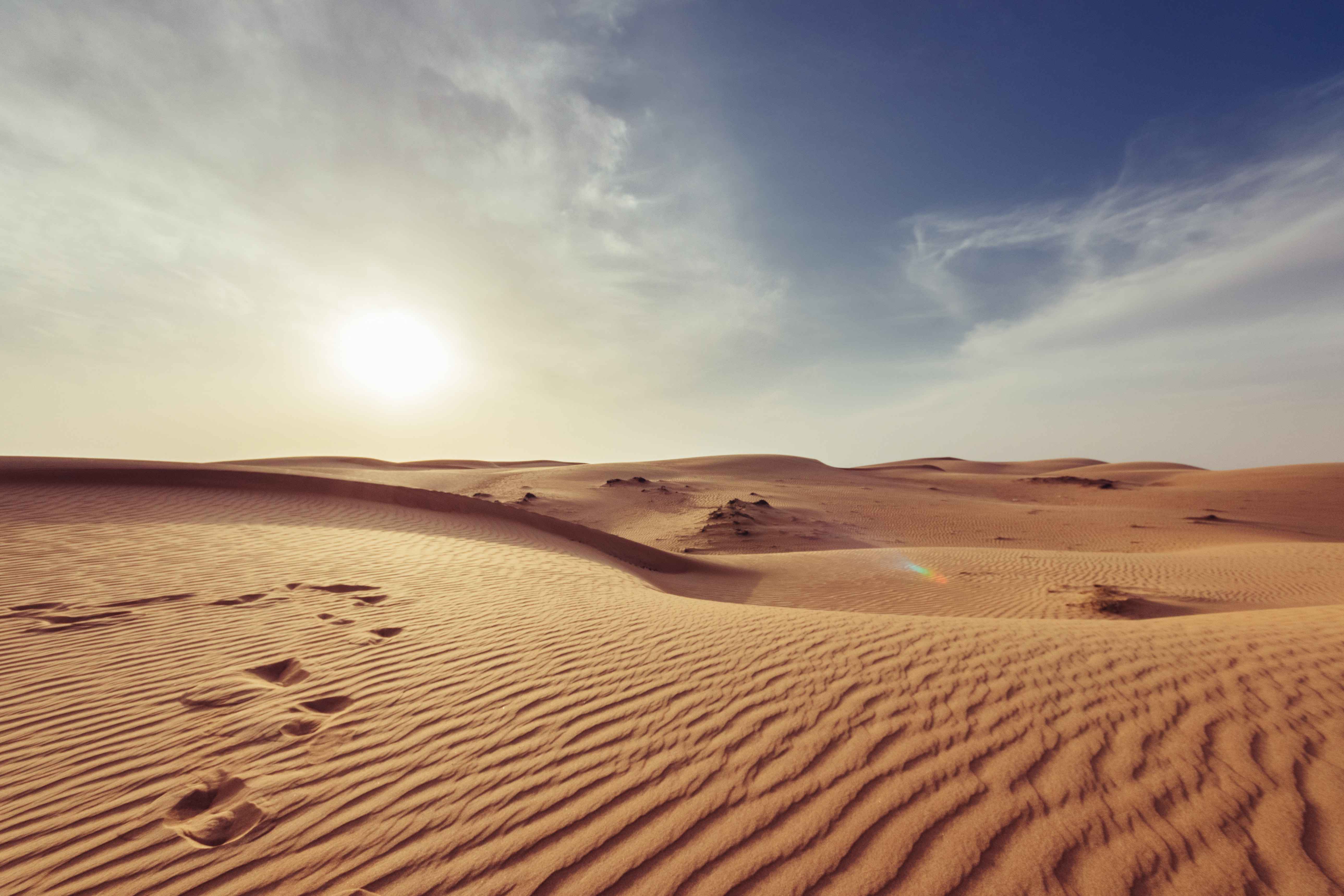 Morning Desert Safari- Dune Bashing- Camel Ride-Sand Boarding-Camping With Refreshment At Dubai - Travel Fube