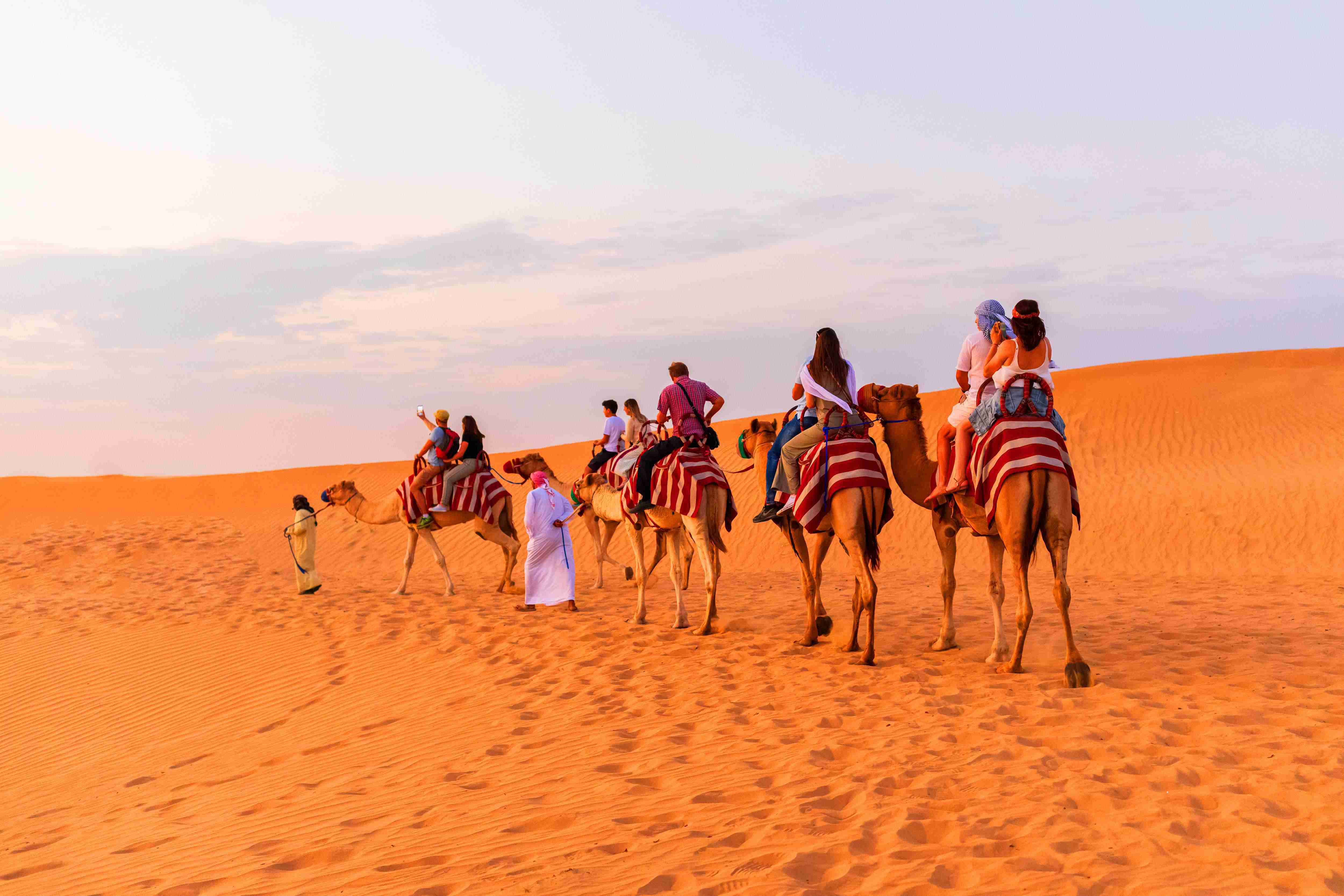 VIP Morning Desert Tour With Camel Ride And Arabic Breakfast