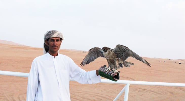 Camel Fossil Rock Adventure Safari Dubai With Sandboarding, Camel Ride And VIP BBQ Dinner @ The Camp